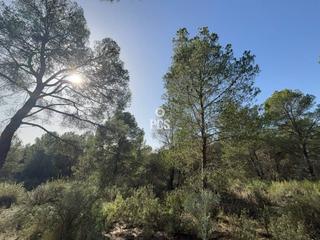 Propriété à Sierra espuña anexo balsa grande 3 s/n. Terreno en venta en totana!