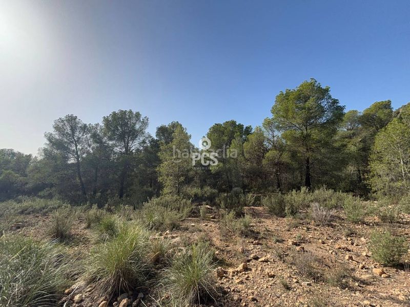 Foto ff442ad1-b1c7-490f-b81b-c3a0f716275f. Finca rústica a calle sierra espuña anexo balsa grande 3 s/n a Totana