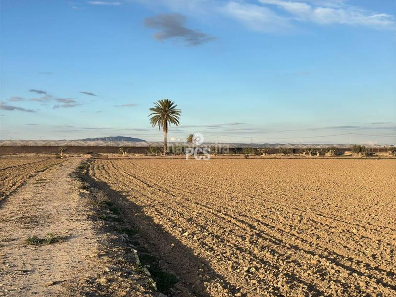 Foto 2b29624c-6381-4568-a44f-178e0c6b09b3. Rural plot in carretera pareton s/n in Totana