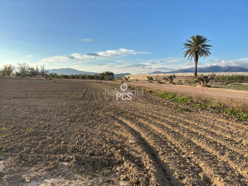 Foto 7ad476ea-4ea3-4b3d-bcd3-d8350496a48c. Rural plot in carretera pareton s/n in Totana