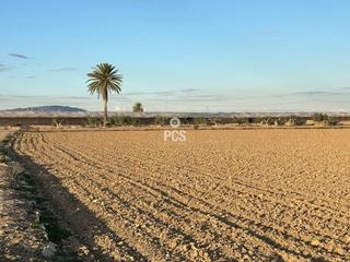 Propriété à Carretera pareton s/n. Terreno en venta en totana