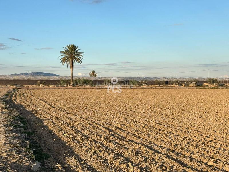 Foto d05bd598-558b-4e28-8531-09081e5204a7. Rural plot in carretera pareton s/n in Totana