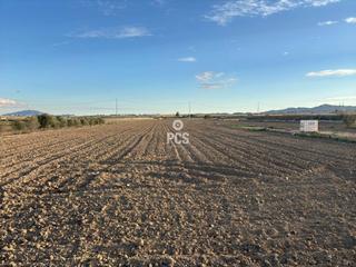 Propriété à Carretera antigua pareton totana s/n. Terreno en venta en totana