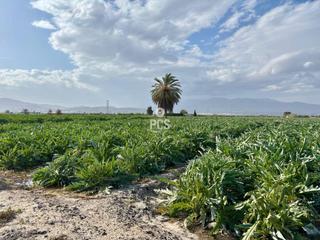 Propriété à Zona de la torremocha s/n. Terreno en venta en totana
