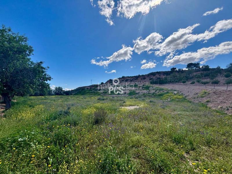 Foto a48112c5-cc3f-468a-9861-22cbc9ba9aec. Landgut in zona camino yesares s/n in Totana