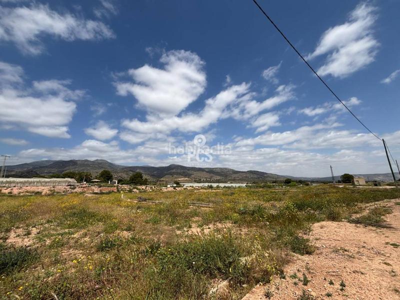 Foto 09b381ec-dd13-4d44-b8d3-f3dea16cb85b. Fondo rustico in zona camino yesares la paloma s/n in Totana