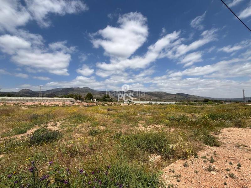 Foto 6e7143f8-149c-4e4c-81b7-832751617a40. Fondo rustico in zona camino yesares la paloma s/n in Totana