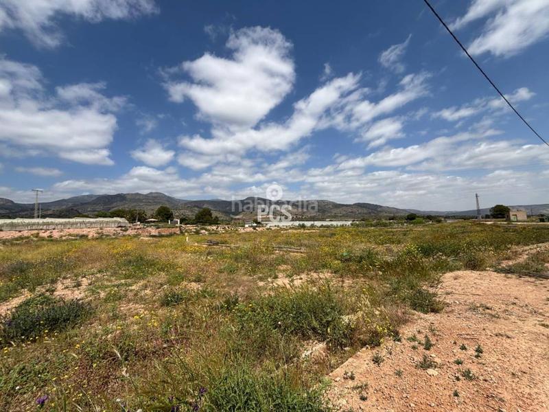 Foto b55104eb-8df7-412c-9fbf-5fe9a3234afd. Fondo rustico in zona camino yesares la paloma s/n in Totana