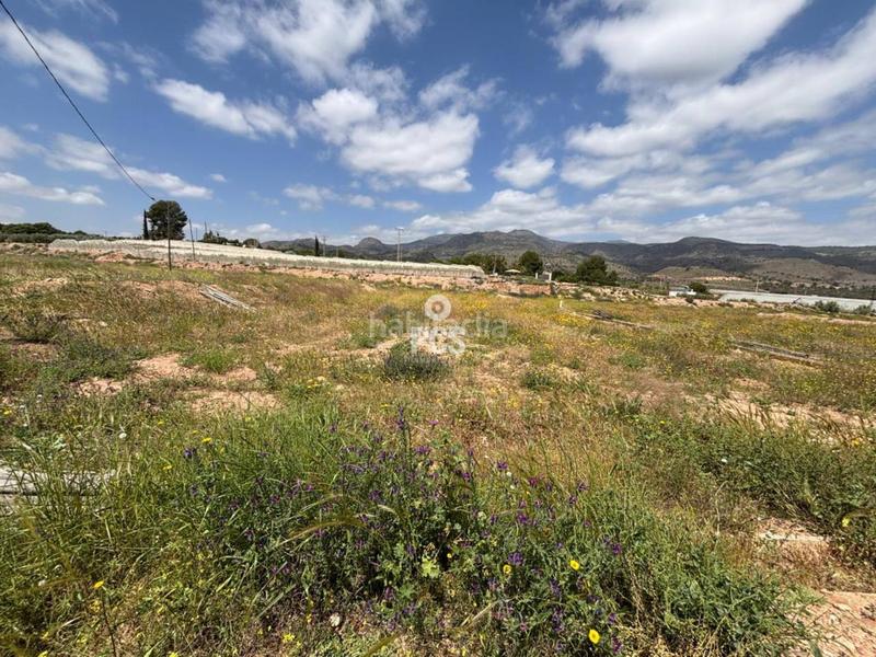 Foto cd480c37-b8ee-4bb4-871b-13cd98a743b3. Fondo rustico in zona camino yesares la paloma s/n in Totana