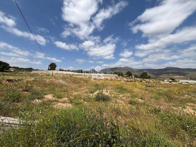 Foto d463ee1a-c65c-4628-9900-c90a67f32d12. Fondo rustico in zona camino yesares la paloma s/n in Totana