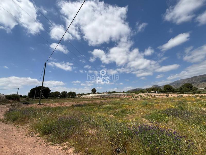 Foto daeeadd5-5273-4437-bf31-a4d1215f9fab. Fondo rustico in zona camino yesares la paloma s/n in Totana