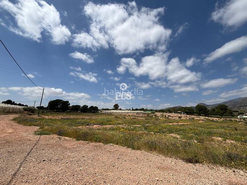 Foto de5c9248-e237-4ee8-9ac4-0811a9708534. Fondo rustico in zona camino yesares la paloma s/n in Totana