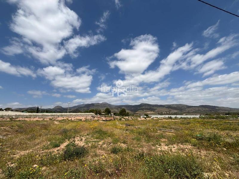 Foto eb6e9bc8-d330-4777-ae58-d32fce7c03cd. Fondo rustico in zona camino yesares la paloma s/n in Totana