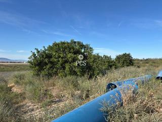 Propriété à Zona raiguero totana s/n. Venta de terreno en totana
