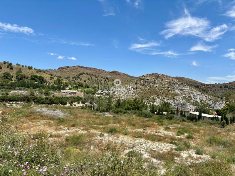 Foto 2020d331-dcce-40a6-af76-ee8d66c8fe7b. Rural plot in zona de la huerta de Totana s/n in Totana