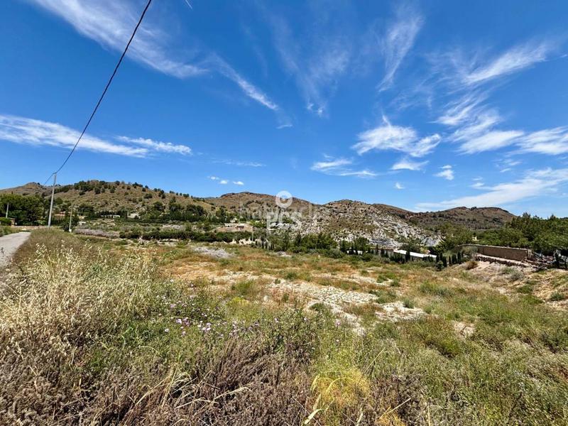 Foto 3ebeb390-6b07-4f7e-9c44-c360490612de. Rural plot in zona de la huerta de Totana s/n in Totana