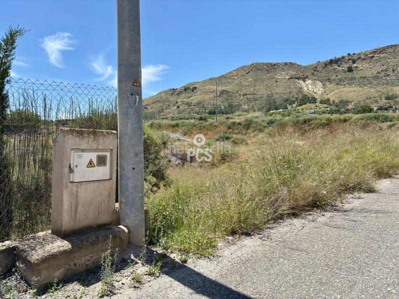 Foto 4ed876d1-d4af-4a47-8bd4-145aa07d8f7d. Rural plot in zona de la huerta de Totana s/n in Totana