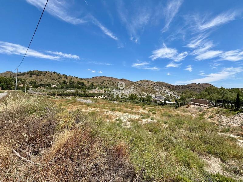 Foto a3bef60f-e116-485f-9239-38331b59861b. Rural plot in zona de la huerta de Totana s/n in Totana