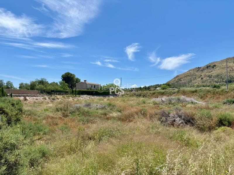 Foto b04dea88-da5a-48a7-85ba-6da6388c4113. Rural plot in zona de la huerta de Totana s/n in Totana