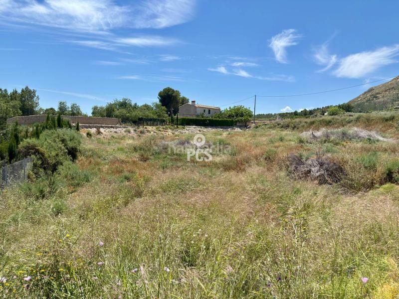 Foto e213f08a-ef05-4e17-bf92-dcc05e032f7d. Rural plot in zona de la huerta de Totana s/n in Totana