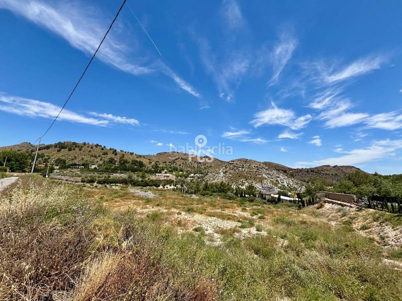 Foto f9411a2e-3cd6-4301-82bd-caa5758ac4aa. Rural plot in zona de la huerta de Totana s/n in Totana