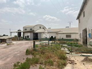 Industrial building in Alrededores de totana s/n. Venta de nave industrial en totana