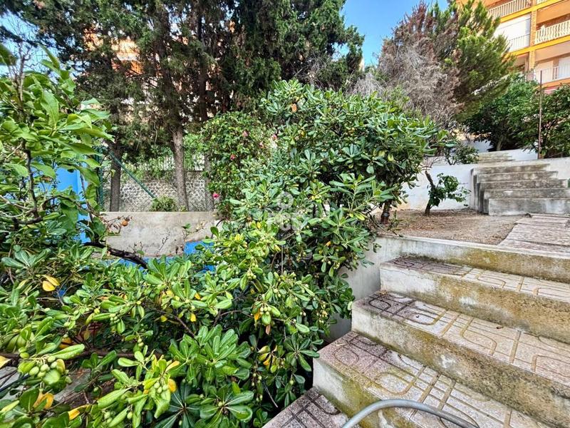 Foto 7b8314ce-d2f5-49d5-afd6-12d8f2256cba. Chalet dans zona paseo martimo puerto de mazarron s/n dans Mazarrón