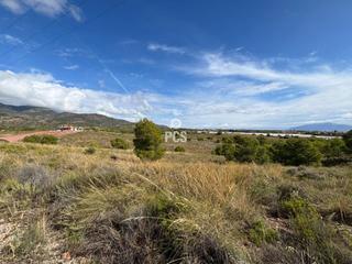 Terrain résidentiel à Zona terreno urbanizable camino de los jaboneros s/n. Terreno en venta en totana