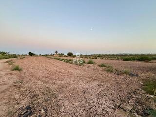Finca rústica a Zona ñorica totana s/n. Venta de terreno en totana