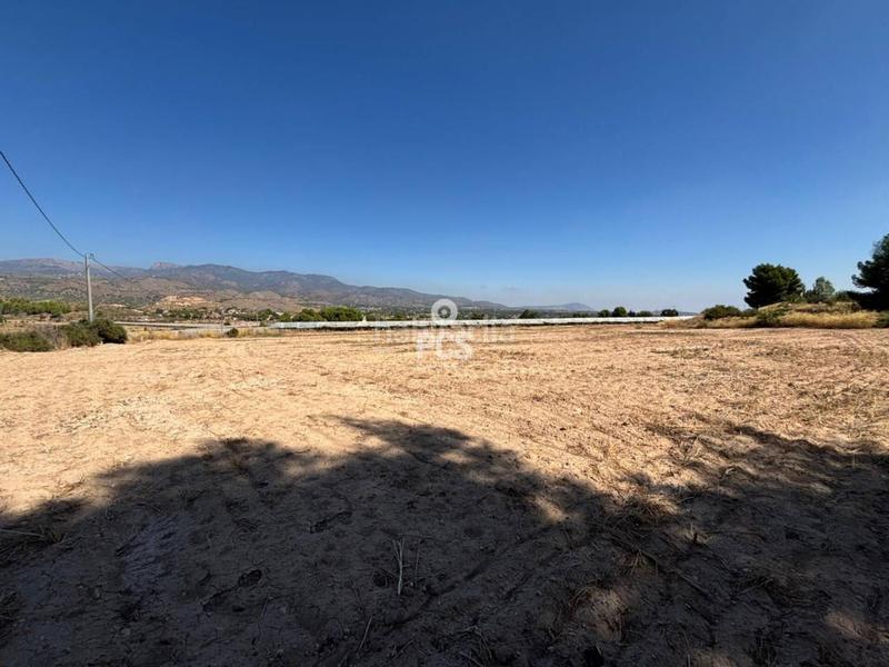 Foto 42ea369d-7ae8-4754-b127-09cf44192f9c. Rural plot in zona los secanos s/n in Totana