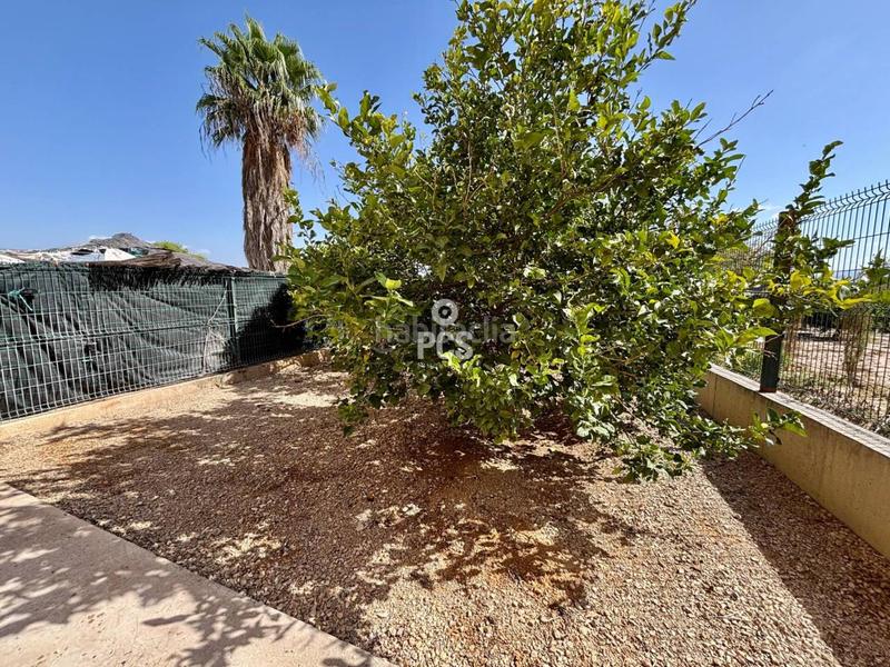 Foto c7801956-8ba9-41cb-822d-028553ef8efc. Casa en pareton s/n casa en venta en Totana