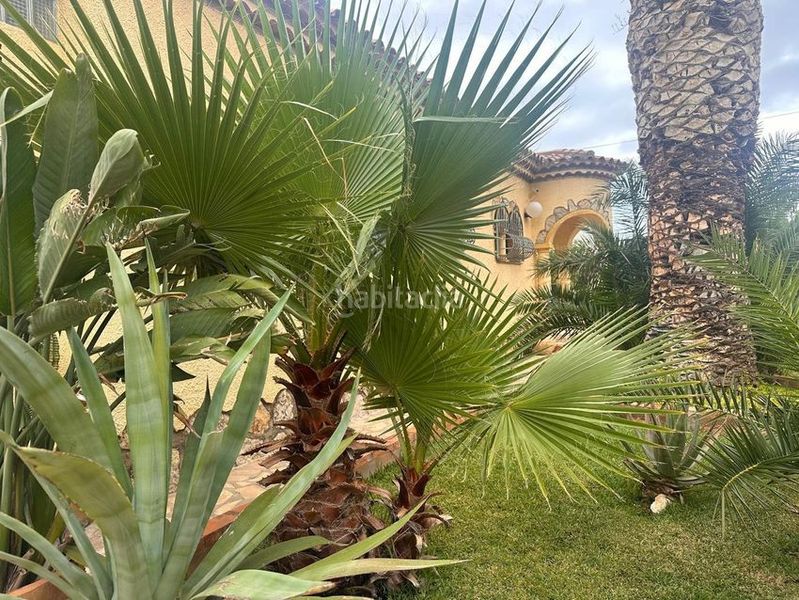 Foto 551de2b5-8314-495b-9647-b231c4dd237c. Casa en Centre Miami Platja
