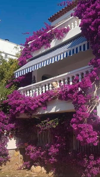 Foto e3461956-e805-4946-bc57-f307a397093a. Chalet con camino parcheggio piscina in Pino Alto Miami Platja