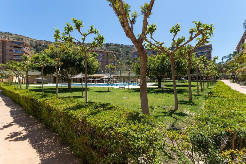 Foto 9fbbe253-0ba2-403a-902a-2e68afd7bd3a. Pis amb aparcament piscina a Vistahermosa Alicante