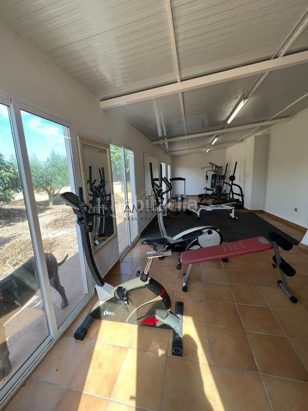 Foto 175c6176-16fa-48bb-a7da-aa7064ffcd2d. Chalet espectacular chalet independiente con 10.000 m2 de parcela, piscina y casa de invitados en Elche / Elx