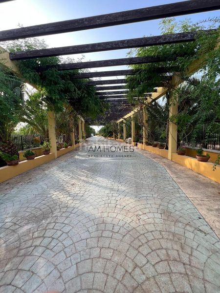 Foto 4206044b-9ecf-40a8-aebe-1e1308eed1ef. Chalet espectacular chalet independiente con 10.000 m2 de parcela, piscina y casa de invitados en Elche / Elx