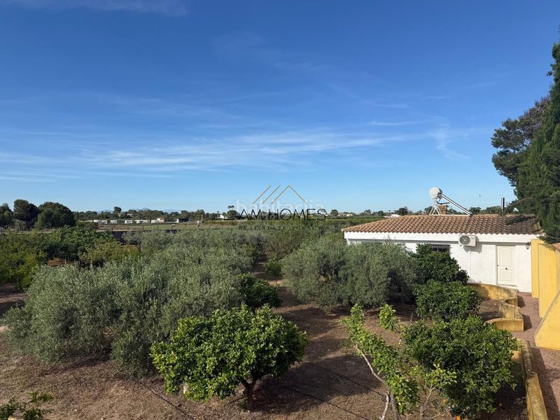 Foto 62392d67-60d7-4330-9d39-d99f8d5dd82a. Chalet espectacular chalet independiente con 10.000 m2 de parcela, piscina y casa de invitados en Elche / Elx