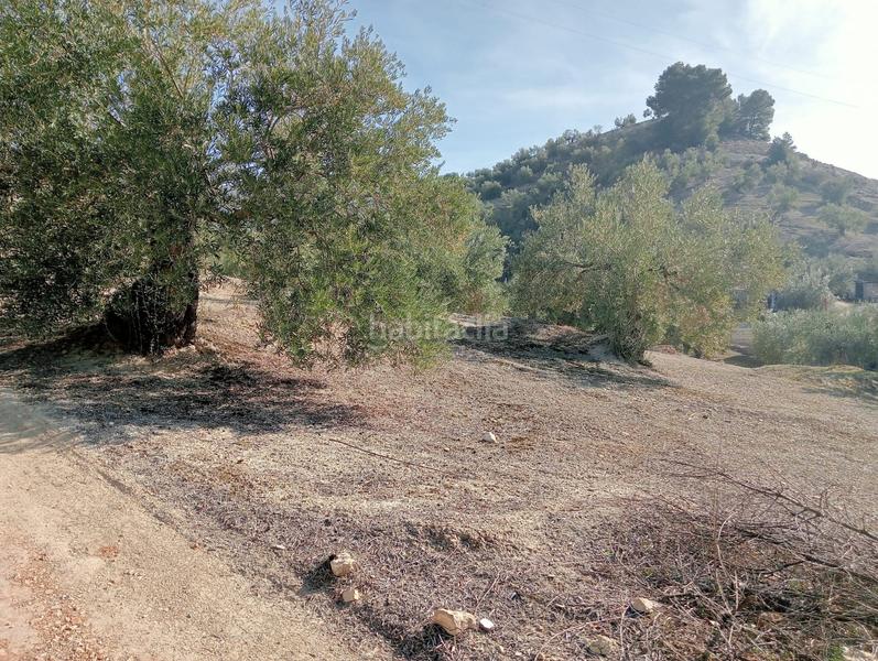 Foto dc53af30-44d3-41d9-b29a-c19dda584f51. Rural plot in Puente Jontoya - Puente de la Sierra - El Arroyo Jaén