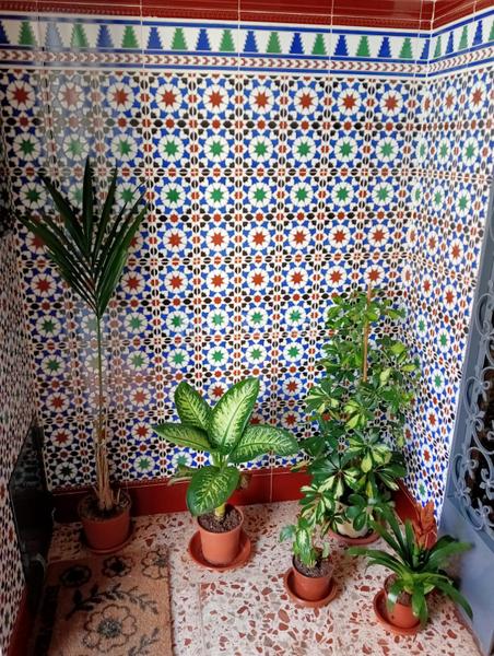 Foto 6b4cf13d-9255-4760-851e-d40b96bf76d2. Maison avec cheminée dans San Felipe - El Almendral - La Merced Jaén