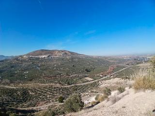 Rural plot in Guardia (La)