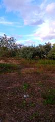 Chalet en Guardia de Jaén (La)