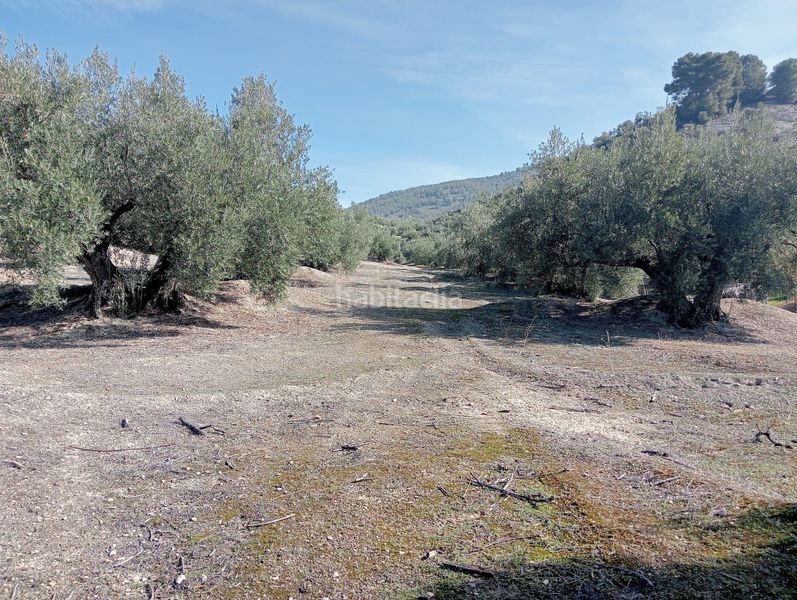 Foto c585cb50-7f7a-4e4b-a15b-edb365f3f103. Finca rústica a Puente Jontoya - Puente de la Sierra - El Arroyo Jaén