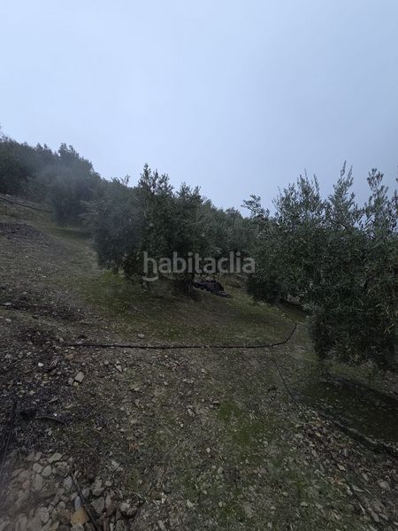 Foto 0333e8ae-9829-4904-9add-ebe61aa102ab. Masia a Jabalcuz Jaén