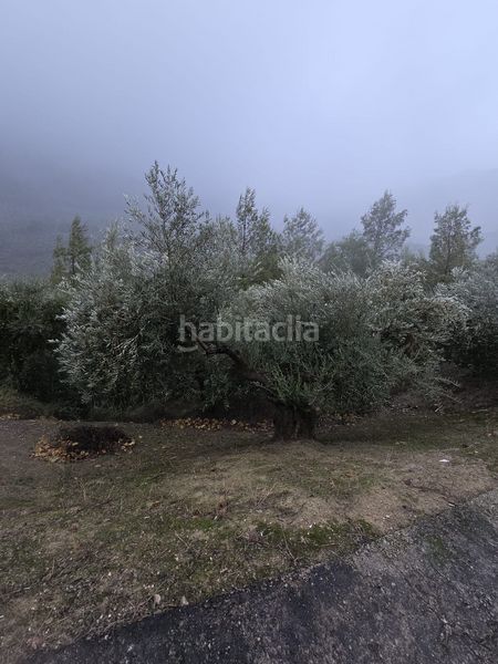 Foto c50834ec-d14c-44e3-9b54-8f4f439ed940. Masia a Jabalcuz Jaén