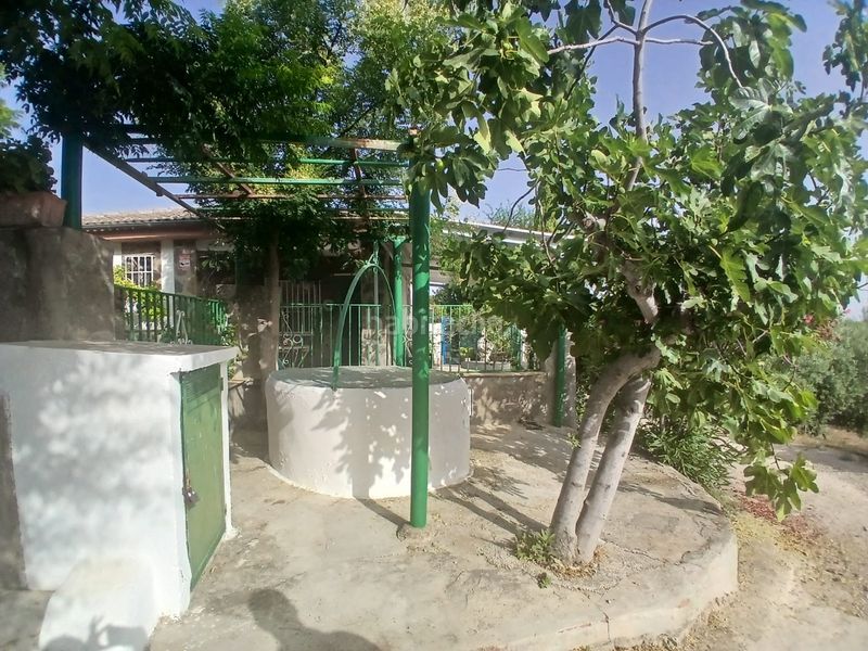 Foto 385a8216-ac50-487b-b0ac-1dfc183b54c1. Casa amb piscina a Alcantarilla - La Glorieta Jaén