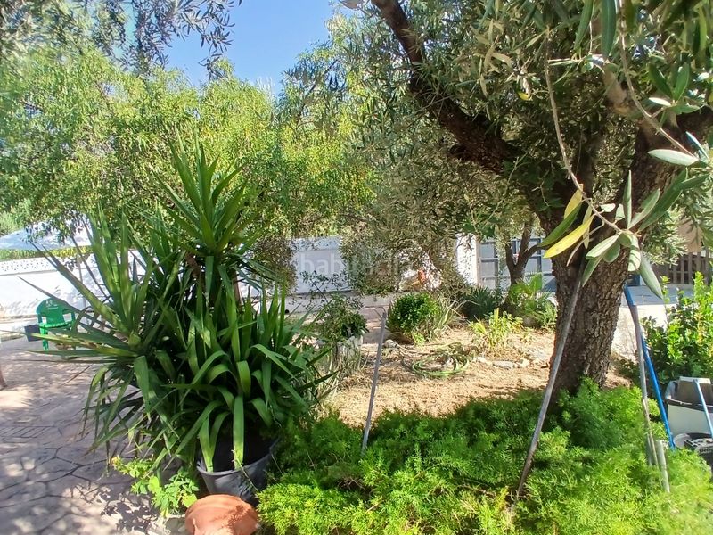 Foto 5cca9e2a-8a42-42ab-a2d6-4aa28f2b35ed. Finca rústica a Puente Tablas - Puente Nuevo - Cerro Molina Jaén