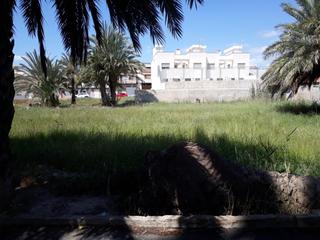 Terreny residencial a Granja de Rocamora. Parcela urbana en granja de rocamora