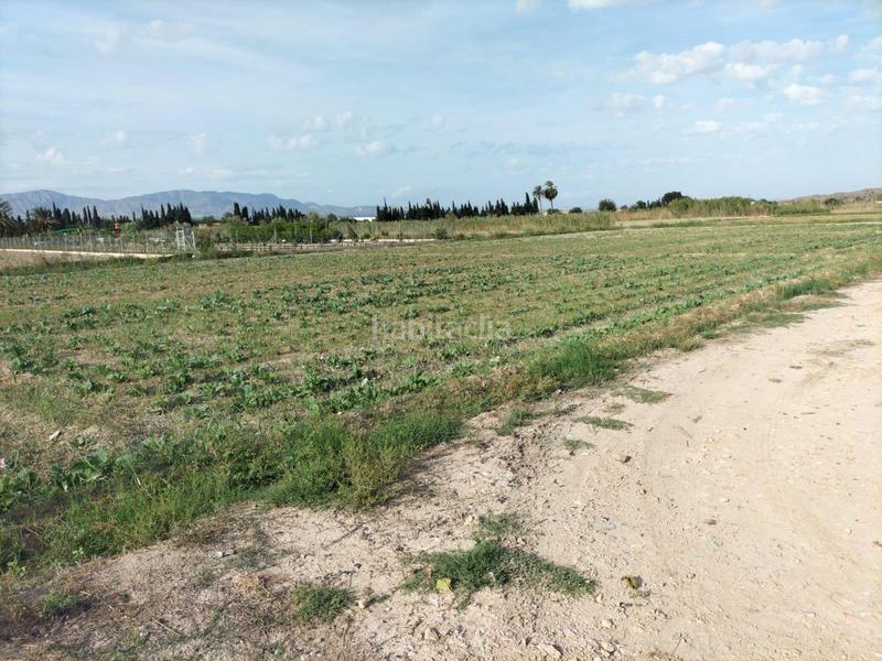 Foto 23a37b01-a93d-4367-ab02-85ae199b90be. Finca rústica tierra de cultivo en Cox