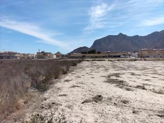 Terreny residencial a Cox. Terreno urbano en cox