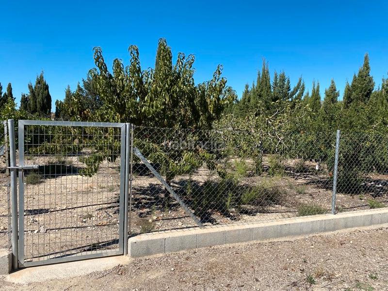 Foto 278d94e2-d55e-4493-a895-bf49c0eaa393. Landgut in La Murada - Los Vicentes Orihuela